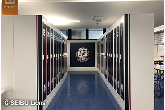 ここに画像が入ります