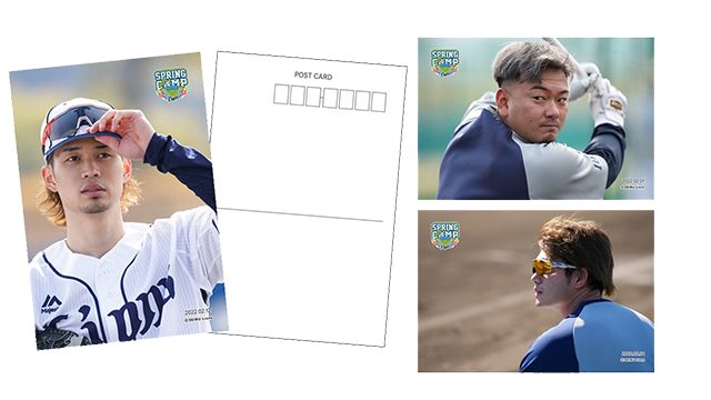 キャンプフォト画像