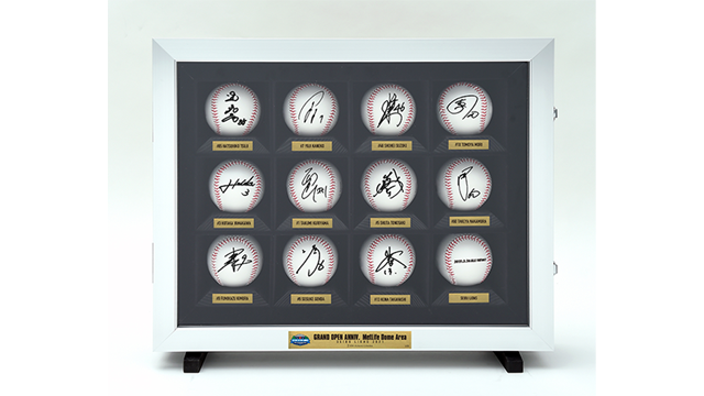 ここに画像が入ります