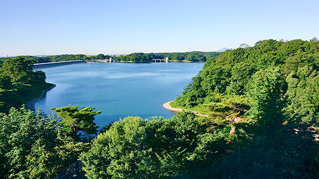 ここに画像が入ります