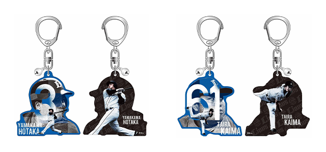 ここに画像が入ります