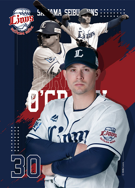 ここに画像が入ります