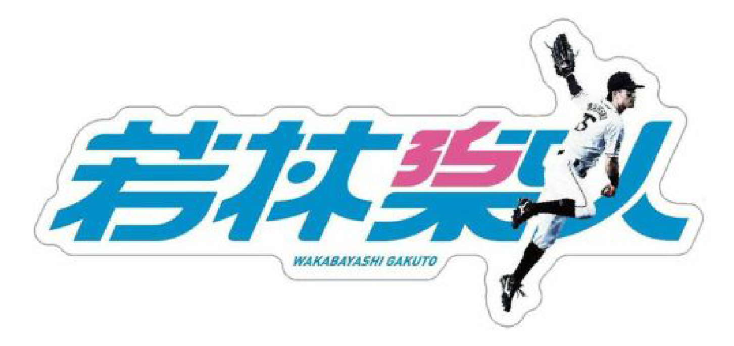 ここに画像が入ります