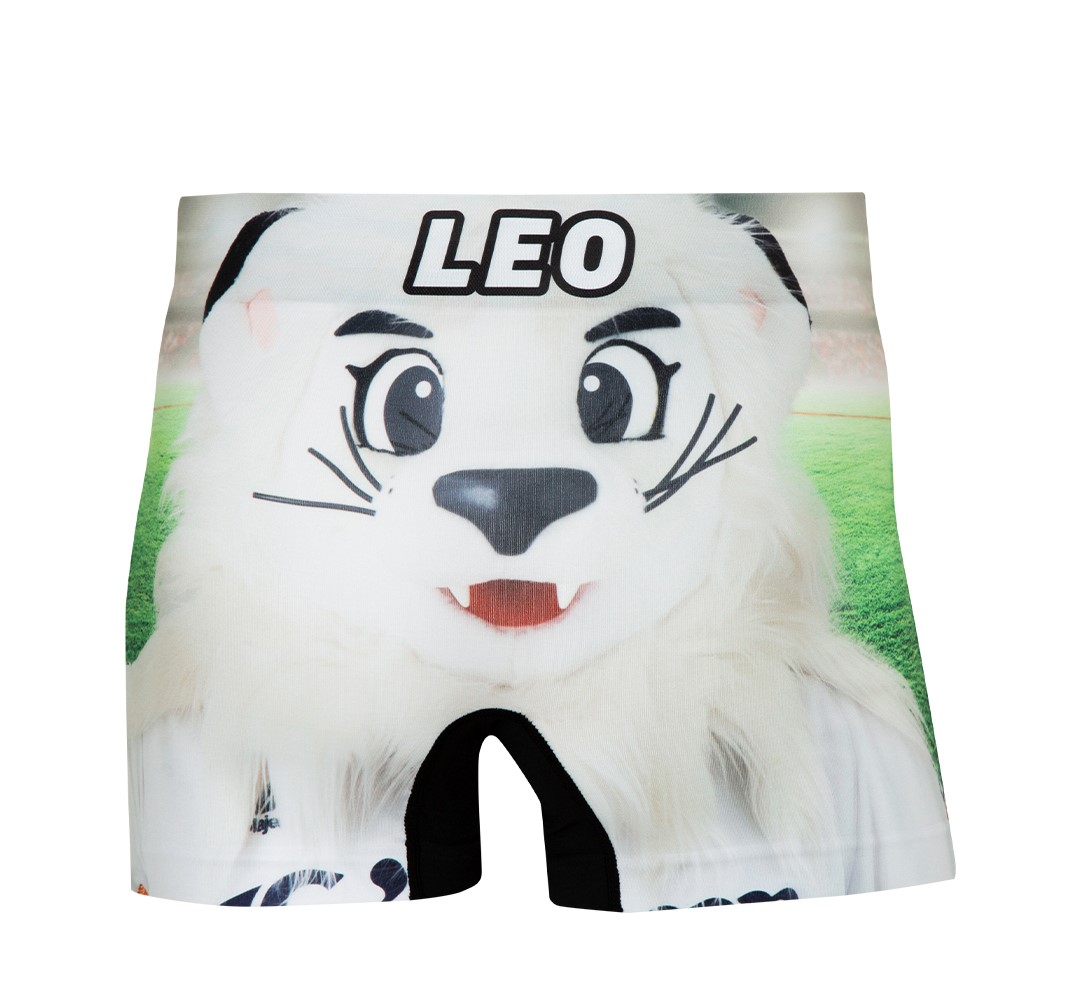 ここに画像が入ります