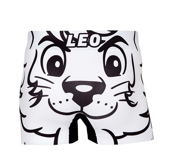 ここに画像が入ります