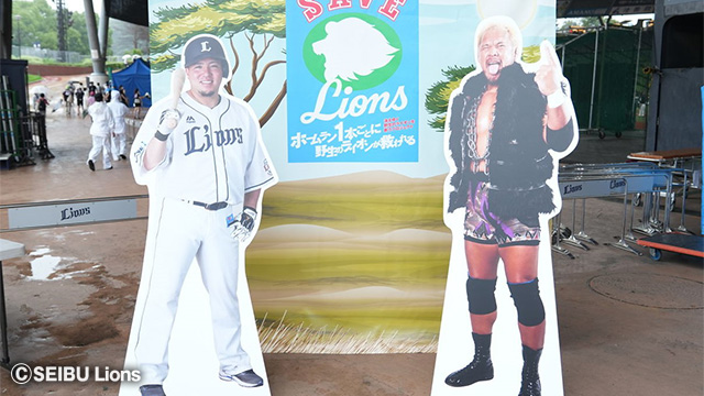 ここに画像が入ります