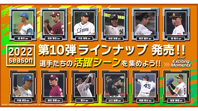 ここに画像が入ります