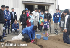 写真:定植スタート！