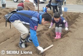 写真:専用棒を使用し等間隔で種いもの植え込み