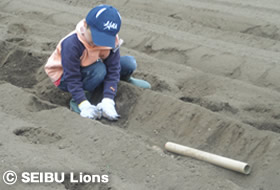 写真:丁寧に土を被せていきました