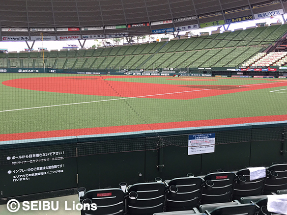 防球ネットあり（2016シーズン）