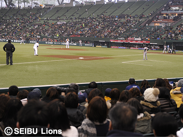 防球ネットなし（2015シーズンまで）