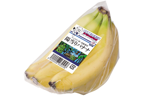 陽当りバナナ・ライオンズパック