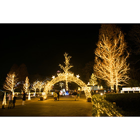 イルミネーション