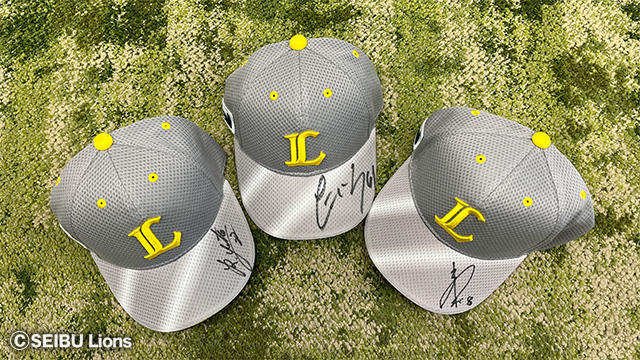 オークション出品アイテム 見本