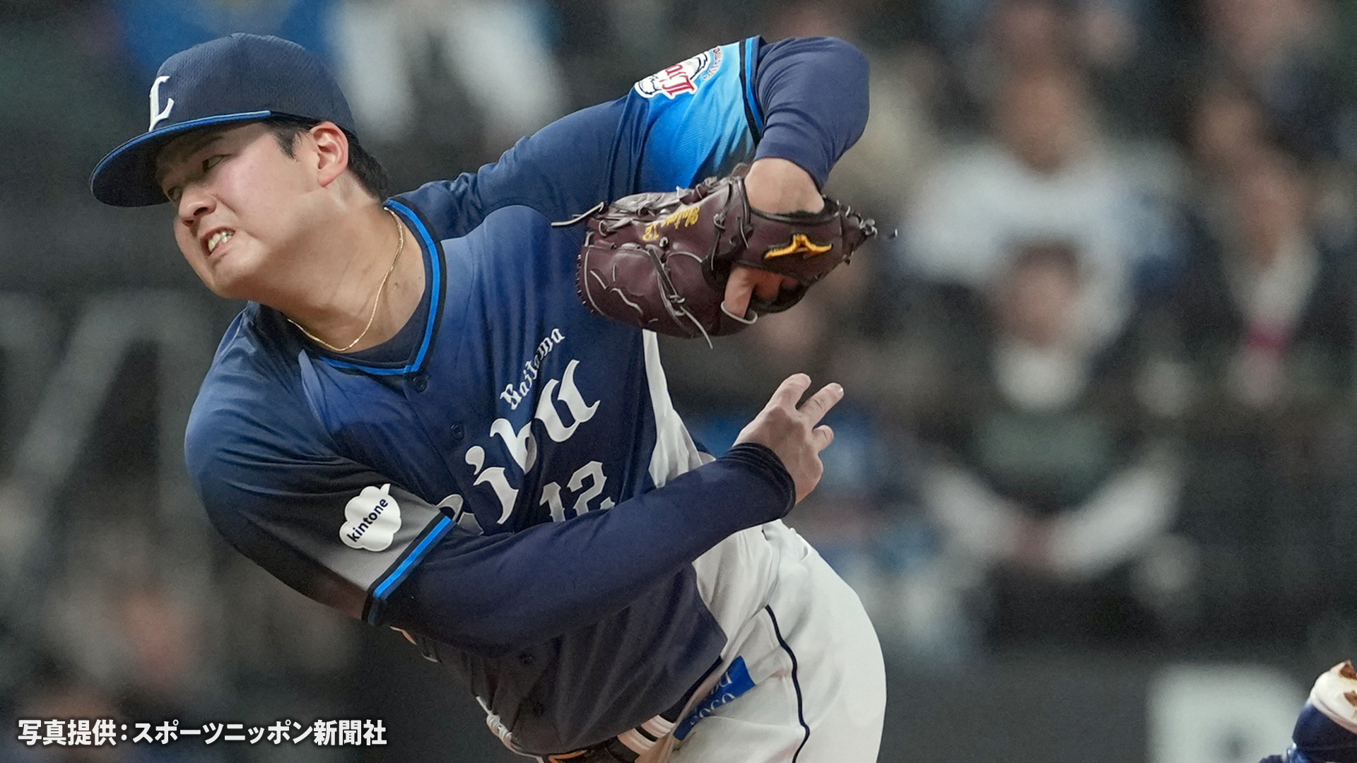 埼玉西武ライオンズ
