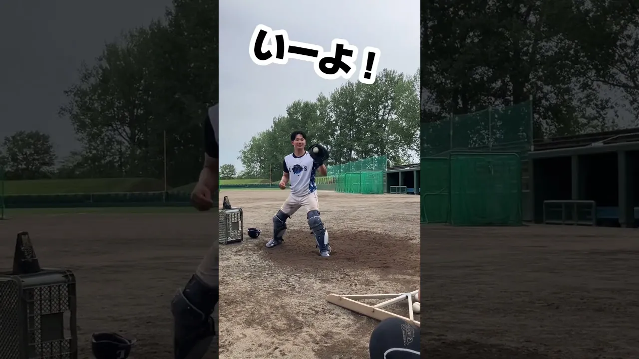 再生