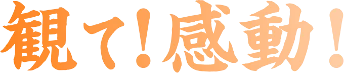 観て！感動！